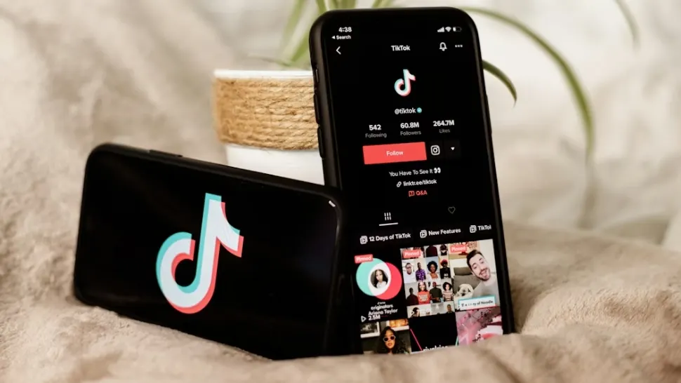 Un influencer din Timiș, reținut după un live urmărit de peste 22.000 de oameni. Ce provocări făcea pe TikTok