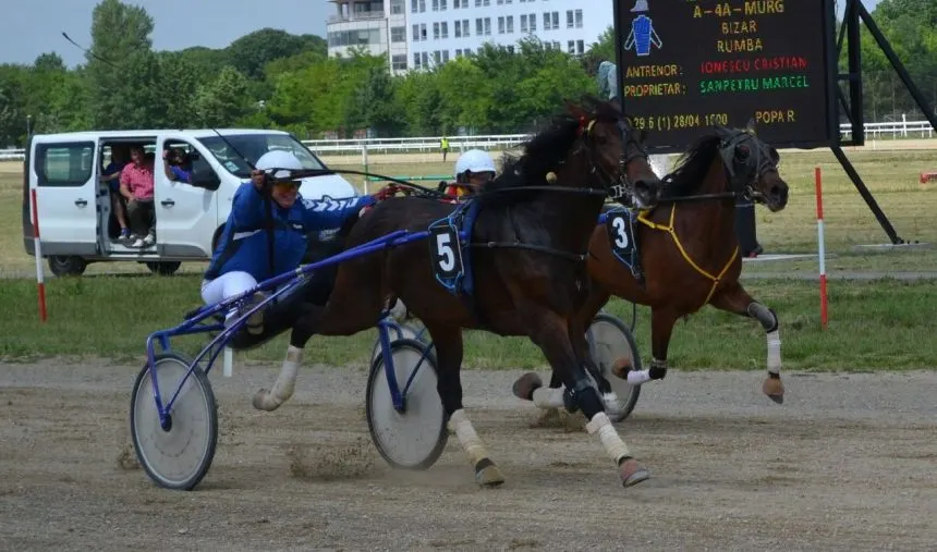 Duminică, pe Hipodromul Ploiești, curse de galop, ponei şi „Premiul Constantin şi Elena”!