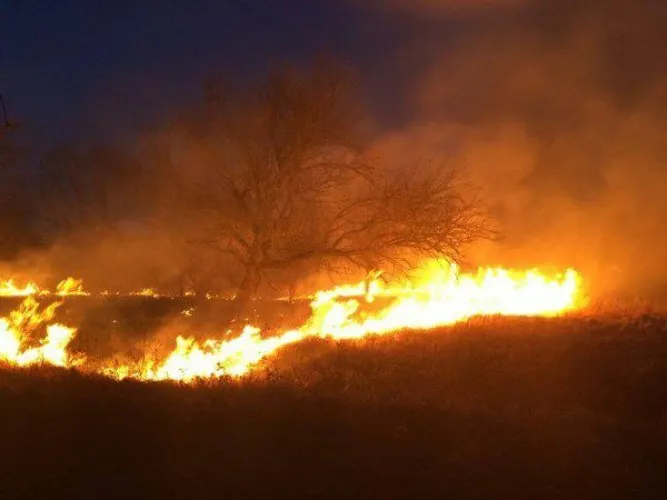 700 de hectare, mistuite de flăcări în Delta Dunării