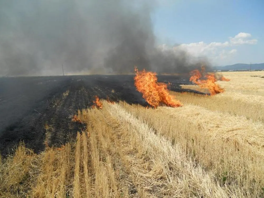 Șapte localități din Prahova afectate de incendii de vegetație