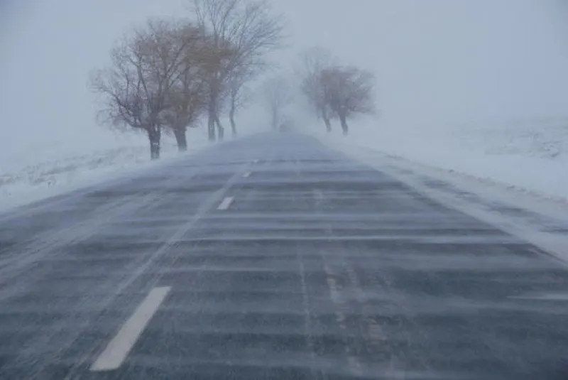 Cod galben de vânt în zona de munte din Prahova