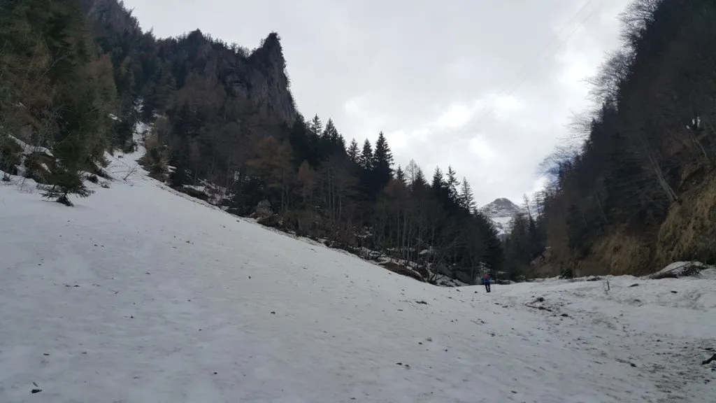 Cinci turiști germani, rătăciți în munții Bucegi. Aceștia au fost salvați | VIDEO