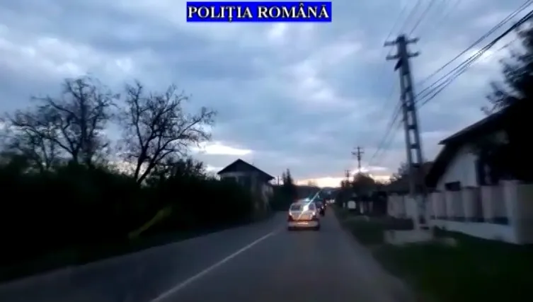 VIDEO| Percheziții la hoții de lemne din Prahova. Cinci persoane sunt audiate