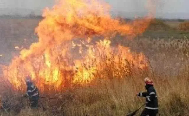 Incendiu de vegetație uscată la Corlătești. Un bărbat a fost rănit