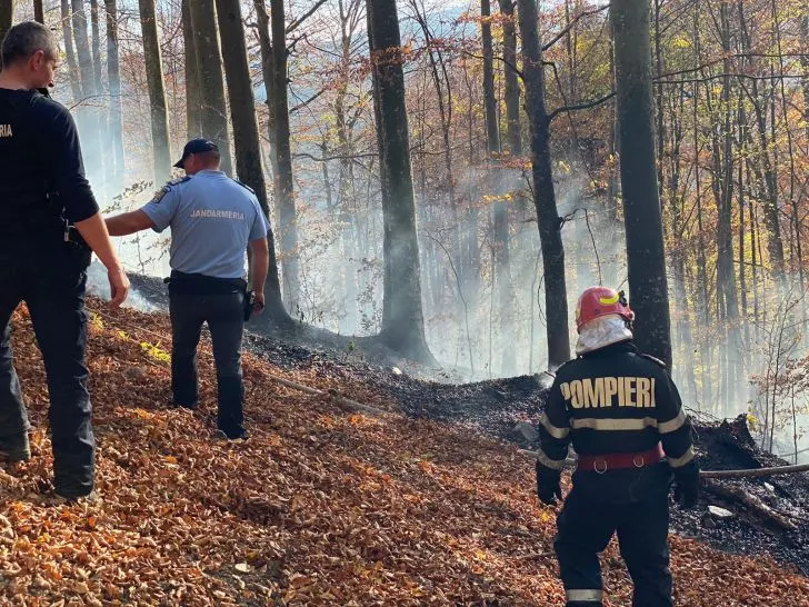 FOTO/ VIDEO Arde pădurea la Sinaia!