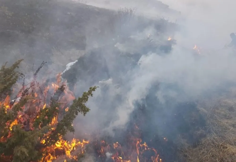 FOTO Incendiu de vegetație uscată la Valea Doftanei în Prahova