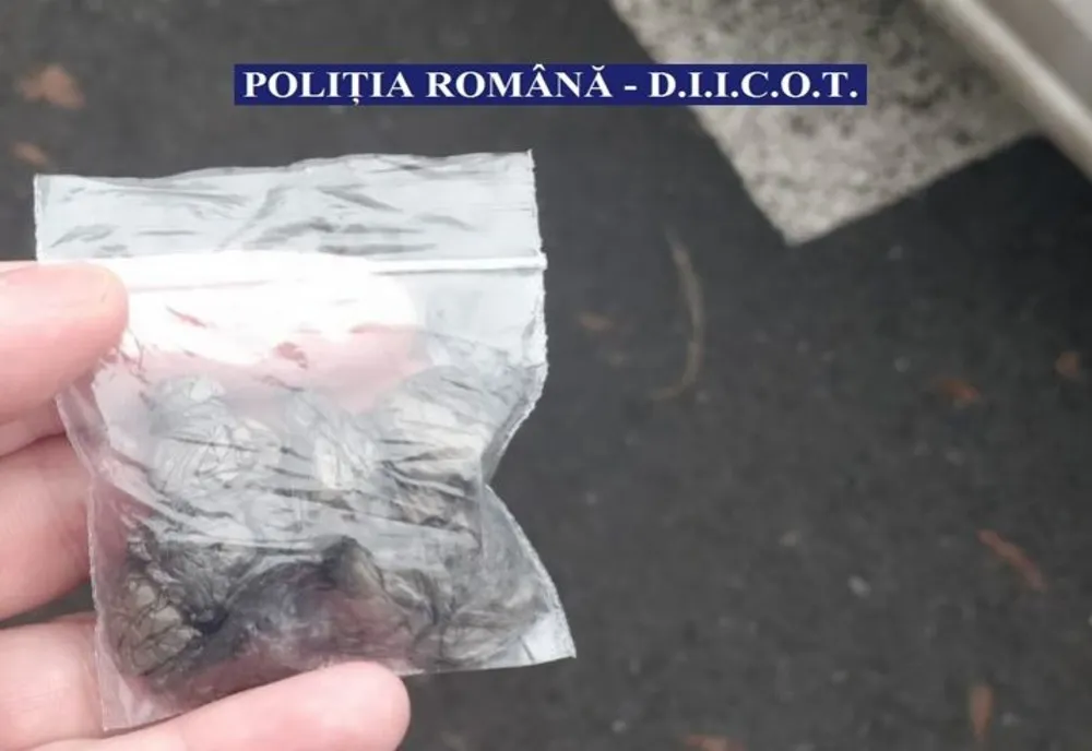 Trafic de cocaină pe ruta Valencia-Brașov, via Ploiești 