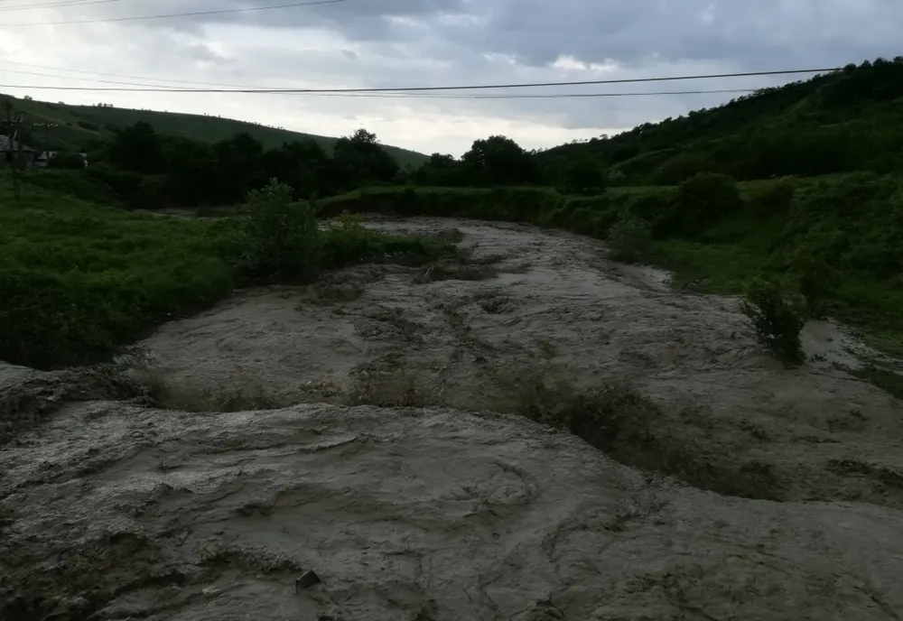 Cod portocaliu de viituri în Prahova 