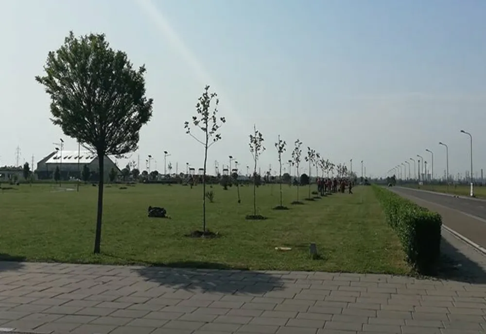 Controale în Prahova, privind suprafețele de spații verzi din mediul urban 
