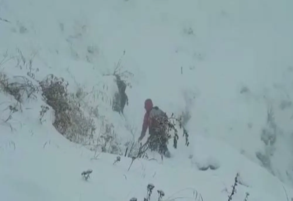 Bărbat rătăcit în Bucegi, găsit de salvamontişti