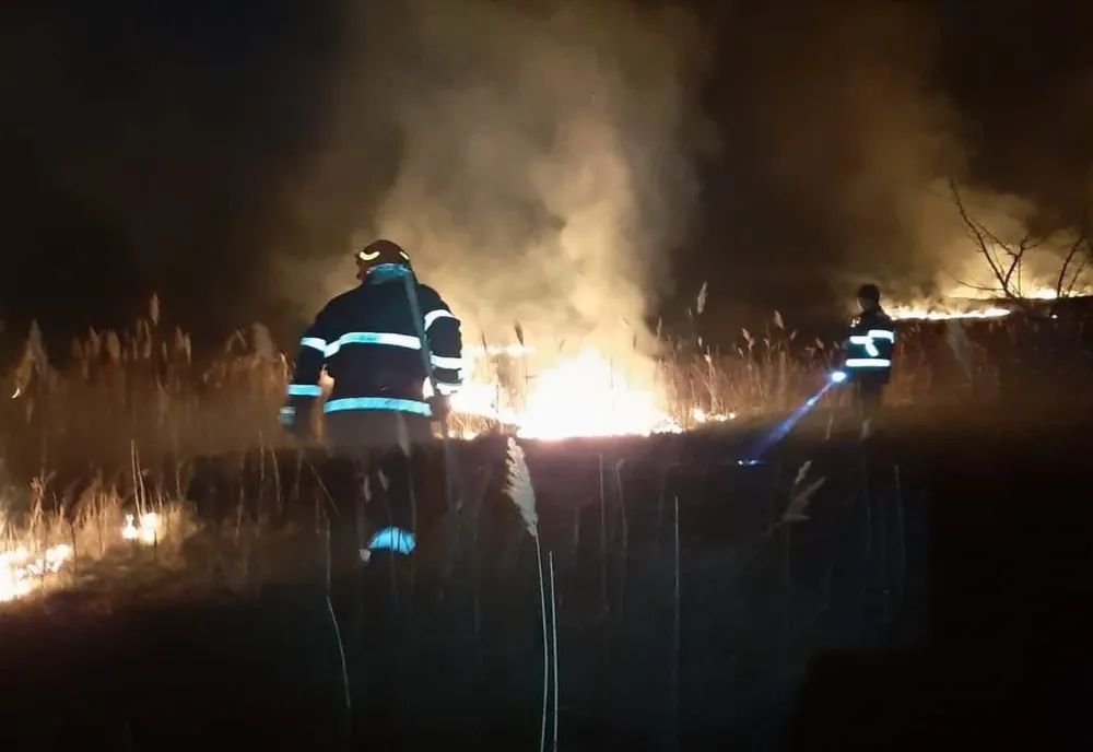 Prahova. 100 de hectare de vegetaţie uscată, afectate de un incendiu