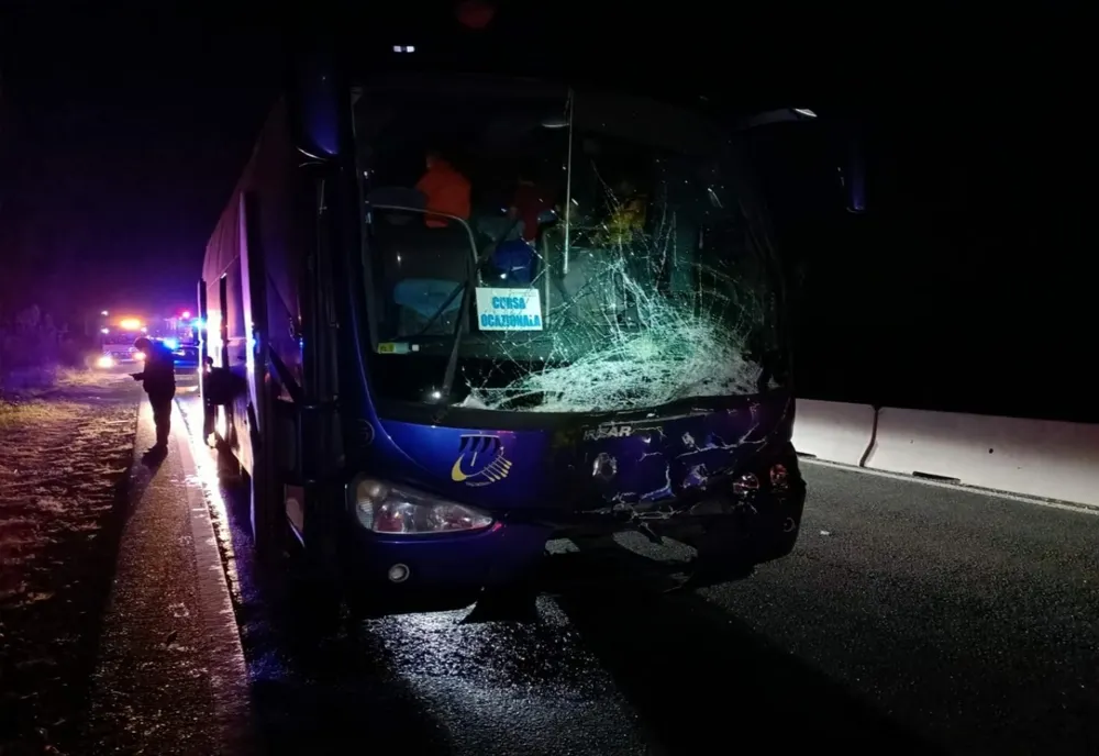 A fost identificat stăpânul taurului care a provocat accidentul de pe DN 1, la Potigrafu. Cum a fost sancționat