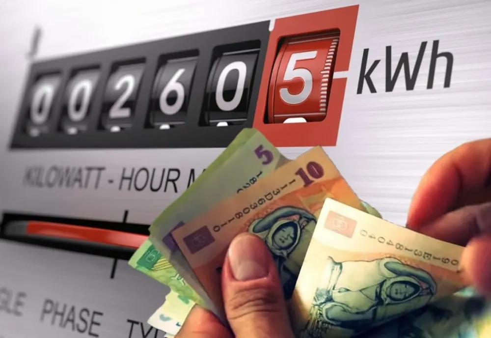 Familiile cu peste trei copii, bisericile și societăţile de utilităţi publice vor beneficia de preţ compensat la energie 