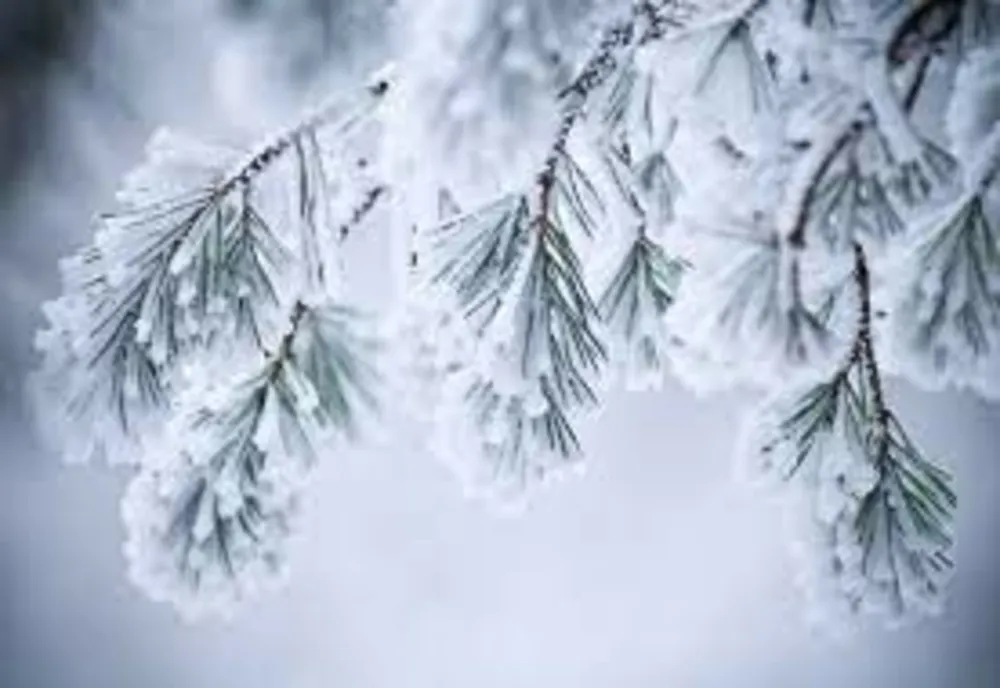 Vremea 5 decembrie - Precipitații slabe sub formă de ninsoare în unele regiuni