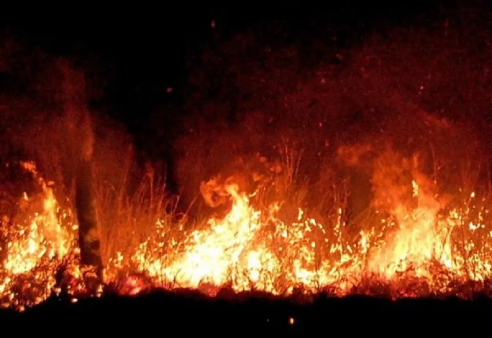 Prahova. Incendiu de vegetație în zona fabricii Coca Cola din Ploiești 