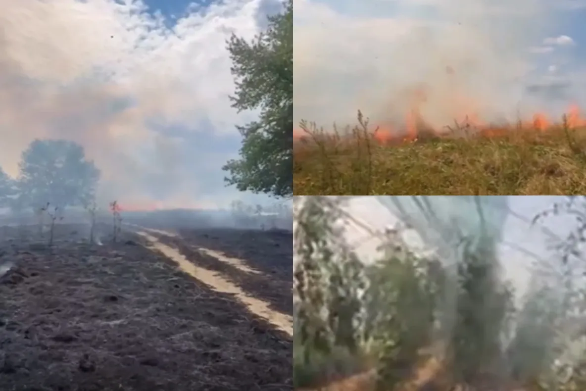 Incendiu de vegetație la Podenii Noi: 30 de hectare afectate. Pompierii au intervenit în Valea Dulce