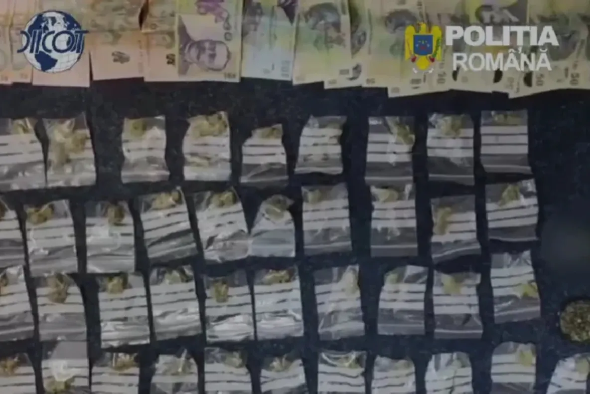Tânăr arestat preventiv pentru trafic de canabis la Ploiești. Cum ar fi vândut drogurile