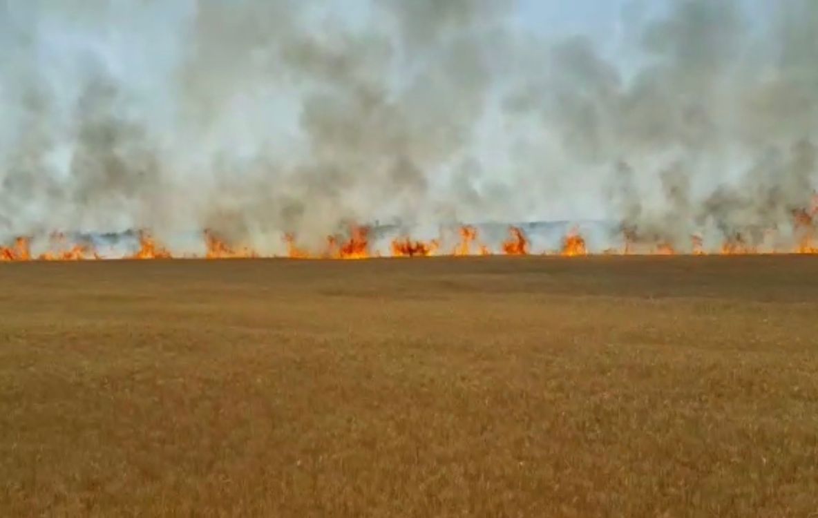 Imagini senzaționale| Pompierii prahoveni intervin  pentru stingerea a trei incendii de vegetație uscată   VIDEO