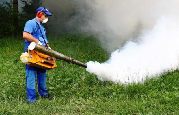 La Ploiești încep, în sfârșit, lucrările de dezinsecție și deratizare