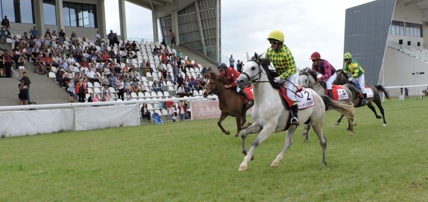 Premieră pe Hipodromul Ploieşti: cursă de galop din calendarul internaţional