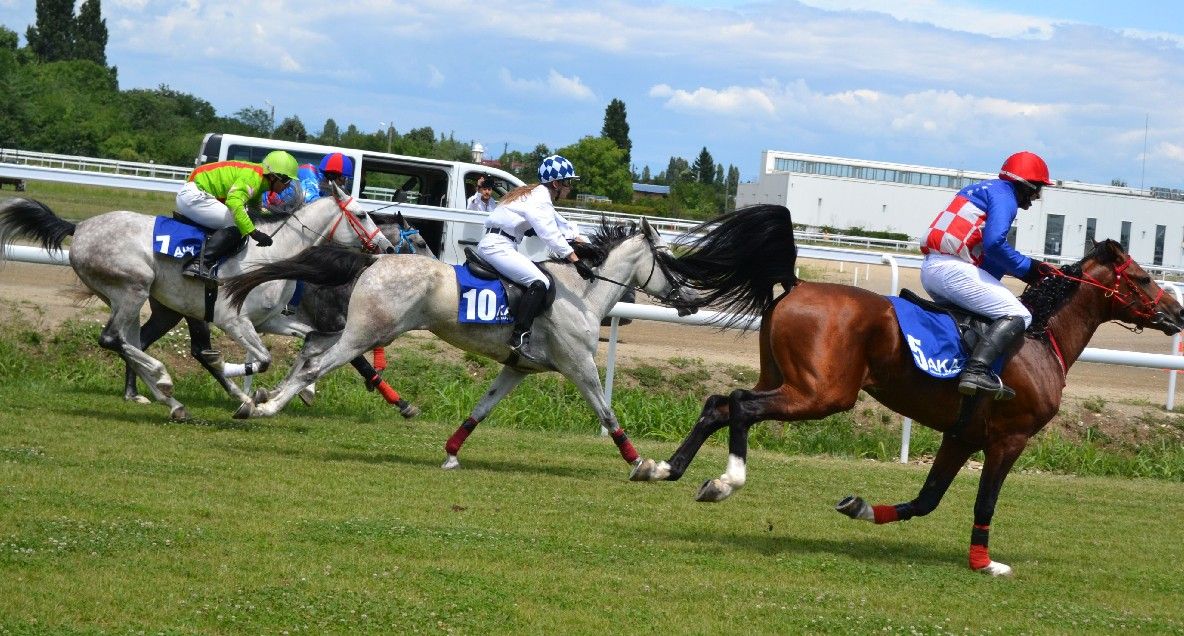 FOTO Sute de spectatori la cursele de trap și galop de la Hipodromul Ploiești