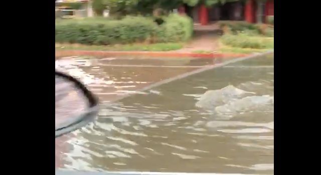 Cod portocaliu de vreme severă imediată pentru judeţul Prahova!