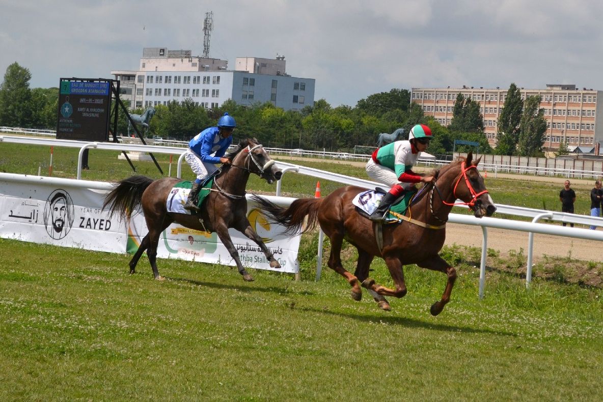 FOTO 2000 de spectatori la reuniunea hipică de la Hipodromul Ploiești