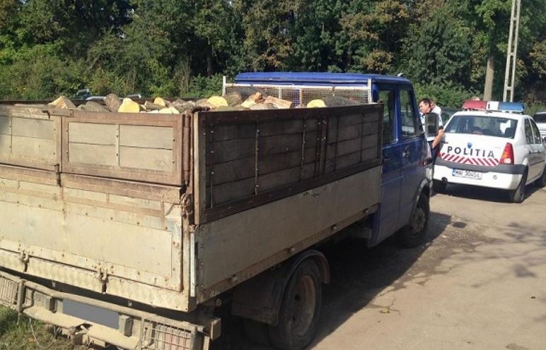 Pădurar din Prahova, prins în timp ce ajuta hoții să fure lemne
