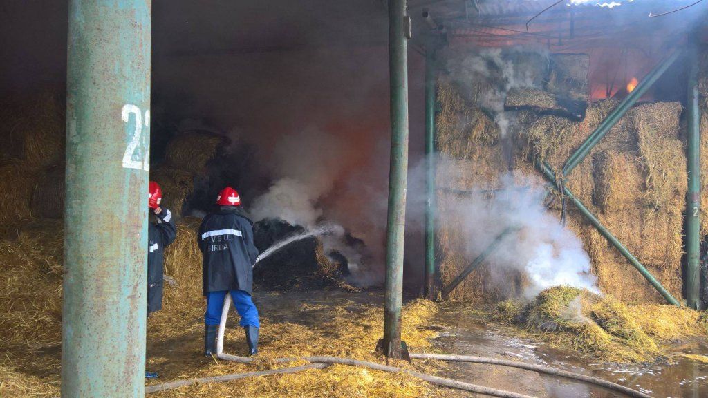 Incendiu puternic în comuna Baba Ana. Intervin 25 de pompieri