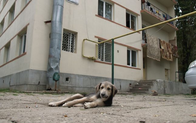 Liceul Tehnologic Ludovic Mrazek Ploiești a fost desființat. Urmează evacuarea asistaților sociali din cadrul căminului