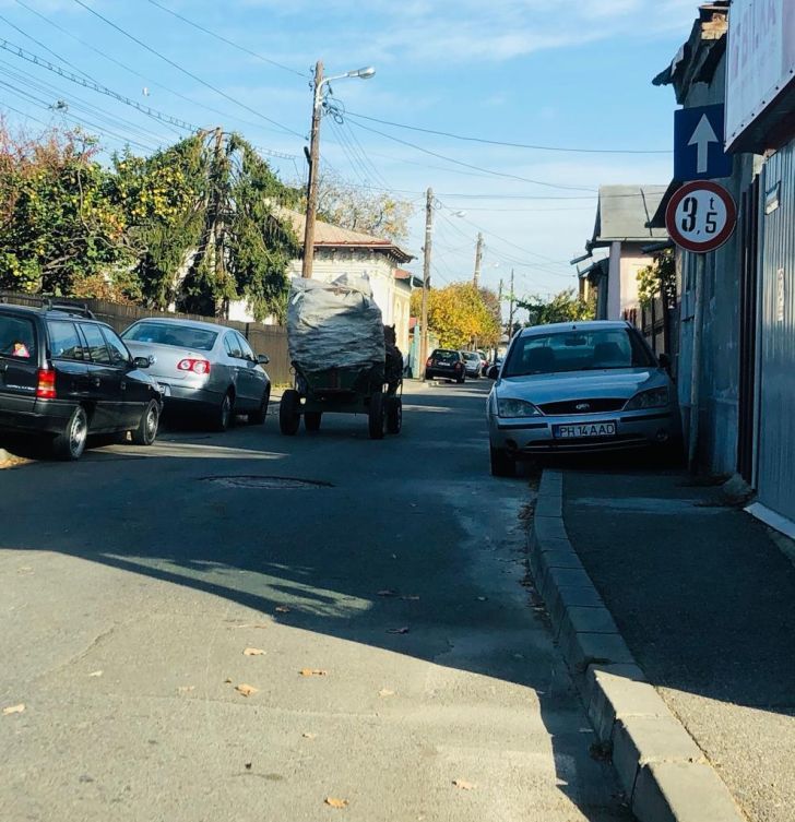 Căruțele ar putea fi interzise în Ploiești