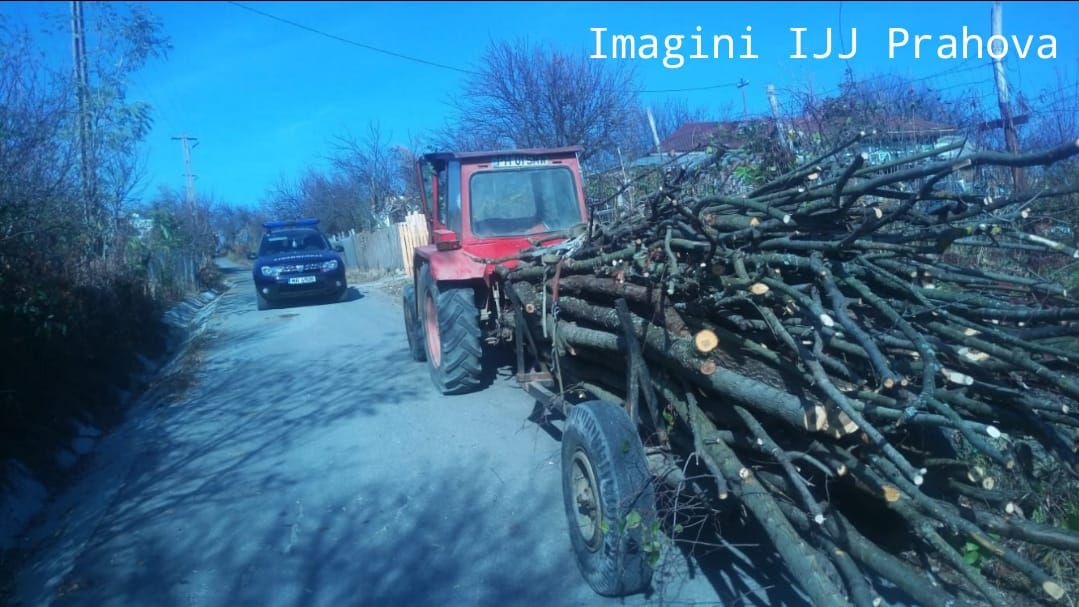 Hoţi de lemne prinşi în flagrant, în mai multe localităţi din Prahova