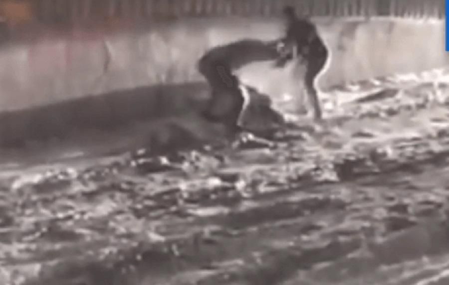 Un ploieștean de 25 de ani este victima criminalului de la Mediaș