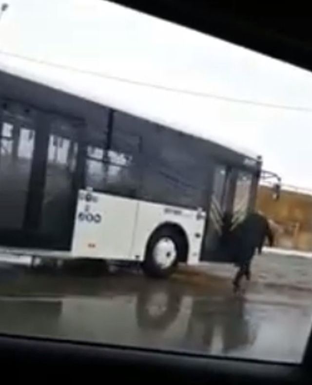 VIDEO De cascadorii râsului! Un autobuz nou se plimbă...fără șofer...prin Ploiești!
