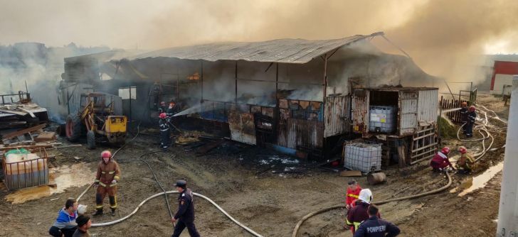 VIDEO/ FOTO Incendiu la o fermă de animale din Mizil! Sute de oi și porci au ars