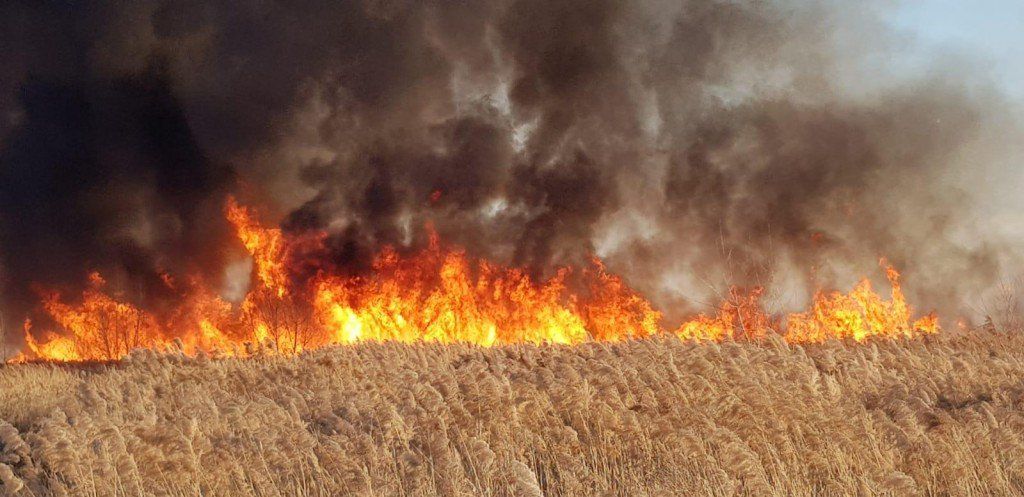 30 de incendii de vegetație în 48 de ore în Prahova