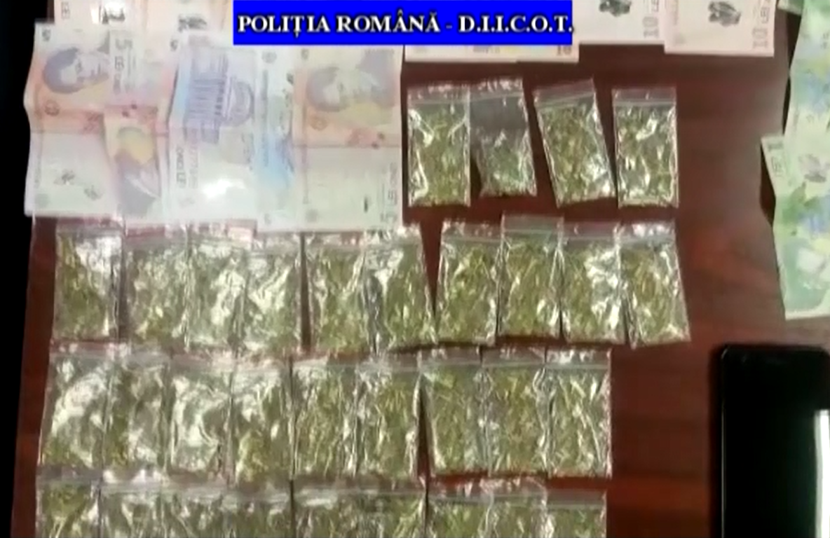 Drogurile pentru Neversea, oprite de DIICOT la Ploiești