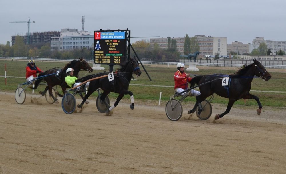 Hipodromul Ploieşti: cine a câștigat reuniunea din acest weekend!