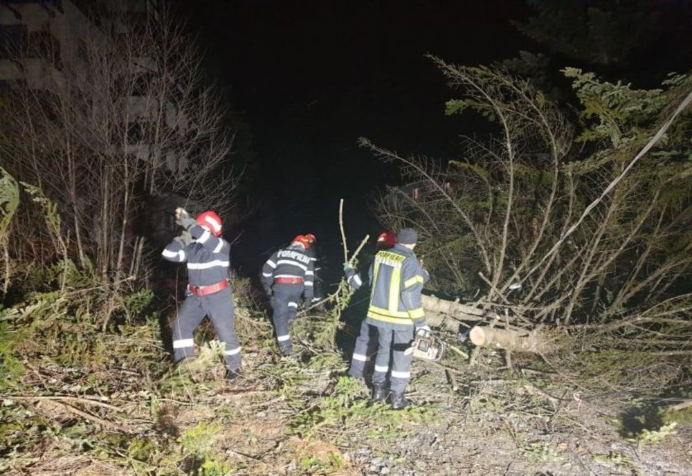 13.000 de locuințe din Prahova fără curent electric! Drumuri blocate de copacii căzuți! 