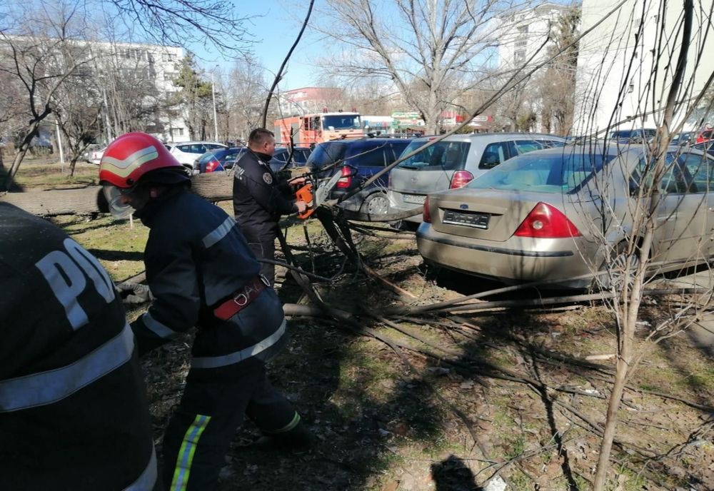 FOTO Vântul a doborât mai mulţi copaci, dar şi stâlpi de electricitate în Prahova. Trafic blocat pe mai multe drumuri