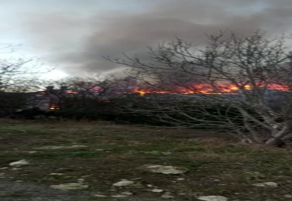 Incendiu de vegetație la Brazi. Trafic pe calea ferată a fost blocat între Ploiești și București