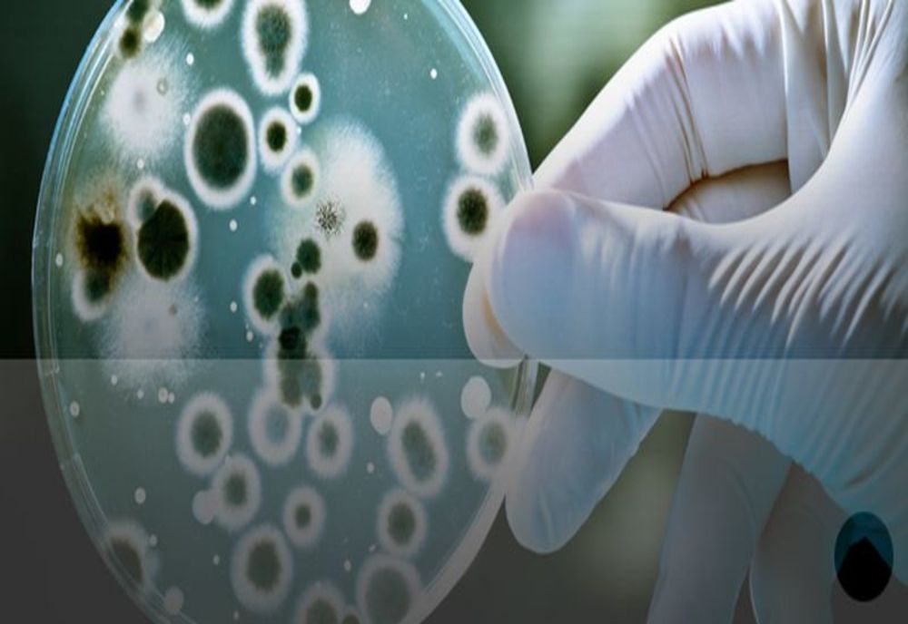 Încă un caz de coronavirus în Prahova! 33 de cazuri noi la nivel național!