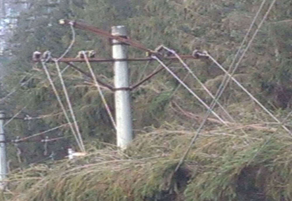 Rafalele au lăsat fără energie electrică aproape 1.200 de consumatori din Prahova