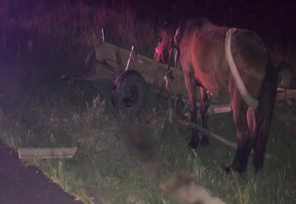 Prahova: A lovit cu maşina o căruţă şi a fugit de la locul accidentului!