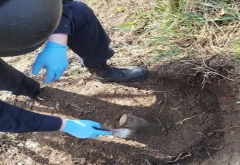 Asanare muniție în Câmpina. Un localnic a găsut 12 cartuşe în grădină