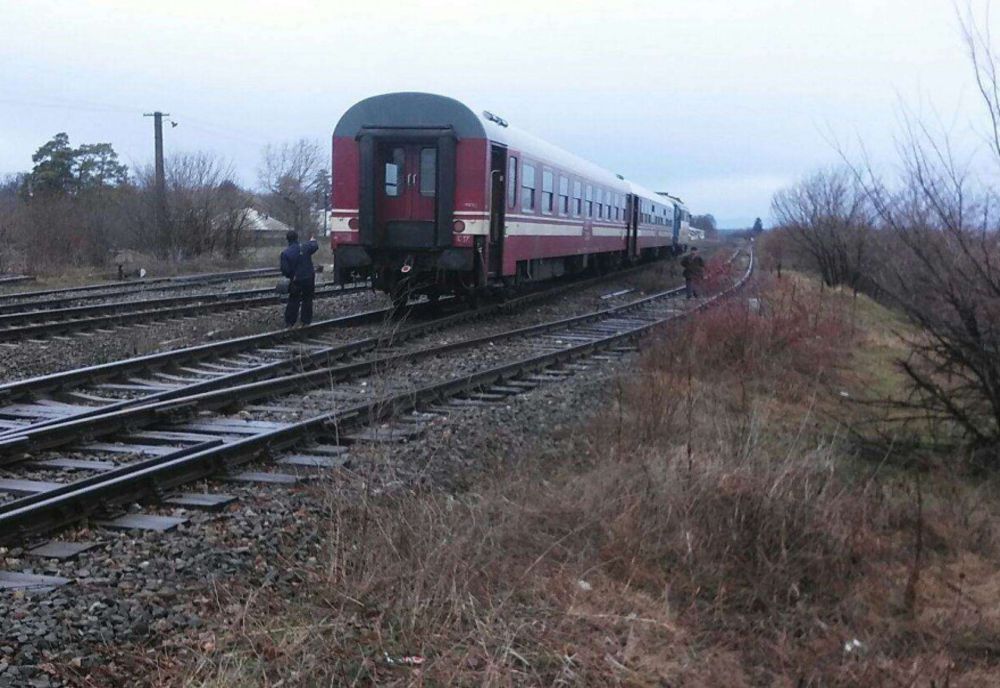 Trenuri blocate pe calea ferată, după ce un copac a căzut peste cablurile de alimentare cu energie electrică