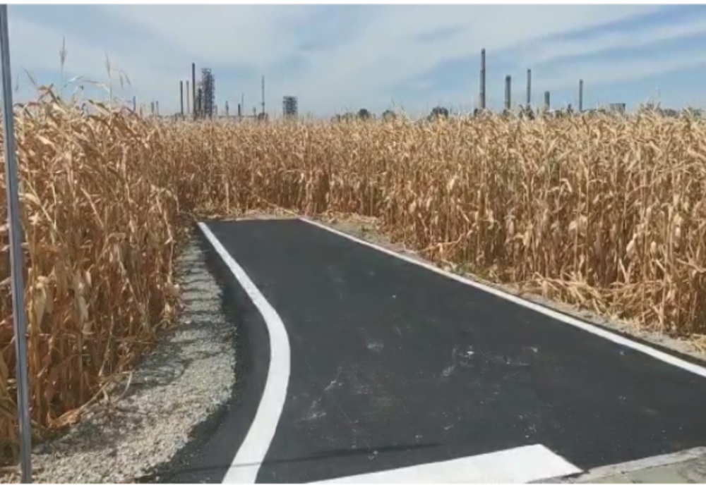 În Prahova se află cel mai scurt drum asfaltat din România. Se opreşte în mijlocul câmpului, în lanul de porumb 