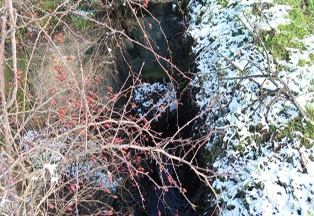 Producători de vinuri din Ceptura, amendați de Garda de Mediu