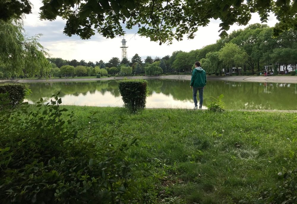 Crengi ale copacilor rupte de vânt în mai multe zone ale Ploieștiului