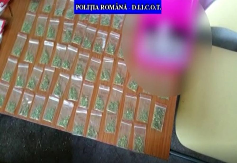 Percheziții efectuate la persoane bănuite de vânzare de substanțe psihoactive, în Prahova, Brăila și Galați 